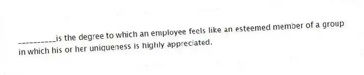 __________is the degree to which an employee feels like an esteemed member of a group in which his or her uniqueness is highly appreciated.