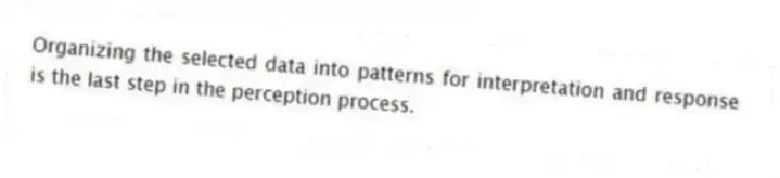 Organizing the selected data into patterns for interpretation and response is the last step in the perception process.