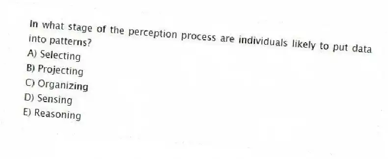 In what stage of the perception process are individuals likely to put data into patterns?
A) Selecting
B) Projecting
C) Organizing
D) Sensing
E) Reasoning