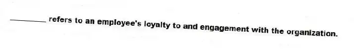 __________ refers to an employee's loyalty to and engagement with the organization.