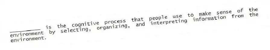__________ is the cognitive process that people use to make sense of the environment by selecting, organizing, and interpreting information from the environment.