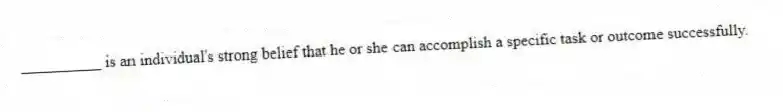 __________ is an individual's strong belief that he or she can accomplish a specific task or outcome successfully.