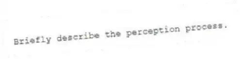 Briefly describe the perception process.