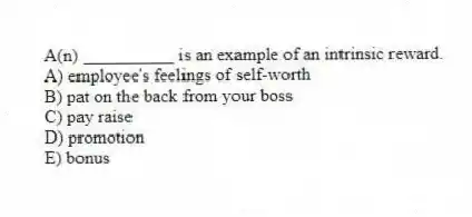 A(n) __________ is an example of an intrinsic reward.
A) employee's feelings of self-worth
B) pat on the back from your boss
C) pay raise
D) promotion
E) bonus