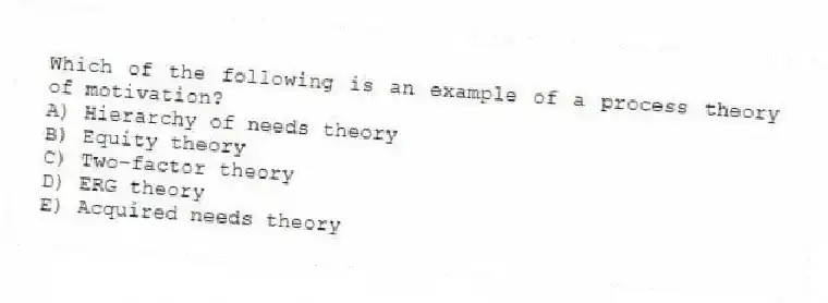 Which of the following is an example of a process theory of motivation?
A) Hierarchy of needs theory
B) Equity theory
C) Two-factor theory
D) ERG theory
E) Acquired needs theory