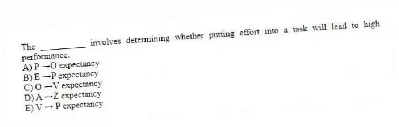 The __________ involves determining whether putting effort into a task will lead to high performance.
A) P →O expectancy
B) E →P expectancy
C) O →V expectancy
D) A →Z expectancy
E) V → P expectancy