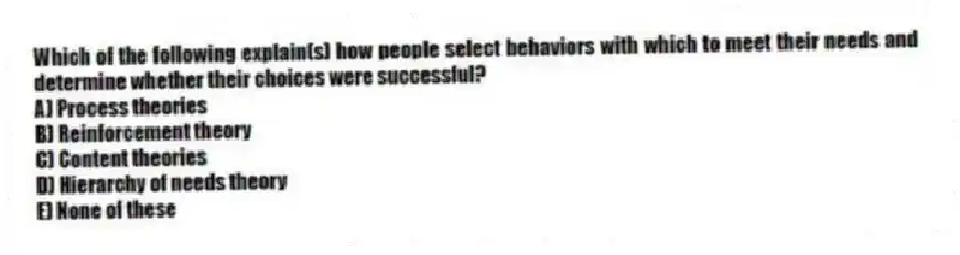 Which of the following explain(s) how people select behaviors with which to meet their needs and determine whether their choices were successful?
A) Process theories
B) Reinforcement theory
C) Content theories
D) Hierarchy of needs theory
E) None of these