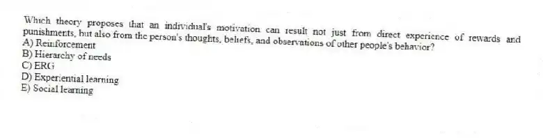 Which theory proposes that an individual's motivation can result not just from direct experience of rewards and punishments, but also from the person's thoughts, beliefs, and observations of other people's behavior?
A) Reinforcement
B) Hierarchy of needs
C) ERG
D) Experiential learning
E) Social learning