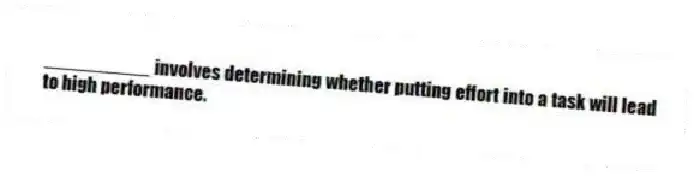 __________ involves determining whether putting effort into a task will lead to high performance.