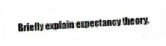 Briefly explain expectancy theory.
