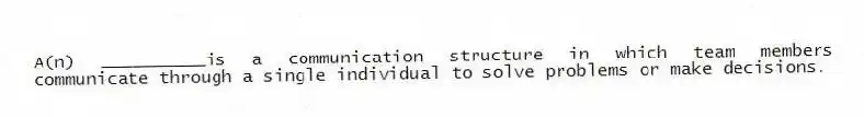 A(n) __________is a communication structure in which team members communicate through a single individual to solve problems or make decisions.