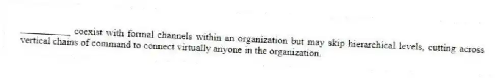 __________ coexist with formal channels within an organization but may skip hierarchical levels, cutting across vertical chains of command to connect virtually anyone in the organization.