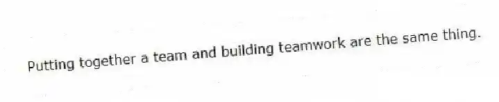 Putting together a team and building teamwork are the same thing.