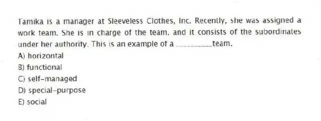 Tamika is a manager at Sleeveless Clothes, Inc. Recently, she was assigned a work team. She is in charge of the team, and it consists of the subordinates under her authority. This is an example of a __________team.
A) horizontal
B) functional
C) self-managed
D) special-purpose
E) social