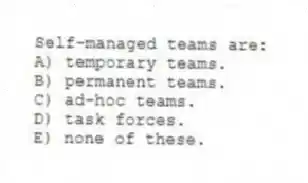 Self-managed teams are:
A) temporary teams.
B) permanent teams.
C) ad-hoc teams.
D) task forces.
E) none of these.