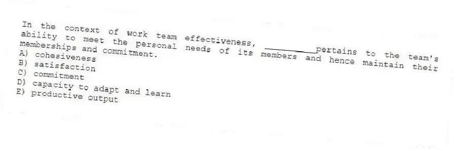 In the context of work team effectiveness, __________pertains to the team's ability to meet the personal needs of its members and hence maintain their memberships and commitment.
A) cohesiveness
B) satisfaction
C) commitment
D) capacity to adapt and learn
E) productive output