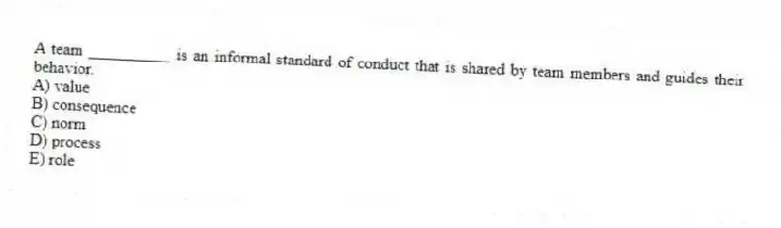 A team __________ is an informal standard of conduct that is shared by team members and guides their behavior.
A) value
B) consequence
C) norm
D) process
E) role