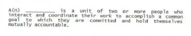 A(n) __________ is a unit of two or more people who interact and coordinate their work to accomplish a common goal to which they are committed and hold themselves mutually accountable.