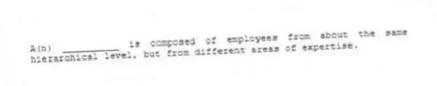 A(n) __________ is composed of employees from about the same hierarchical level, but from different areas of expertise.