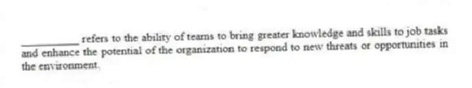 __________ refers to the ability of teams to bring greater knowledge and skills to job tasks and enhance the potential of the organization to respond to new threats or opportunities in the environment.