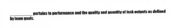 __________ pertains to performance and the quality and quantity of task outputs as defined by team goals.