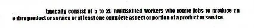 __________ typically consist of 5 to 20 multiskilled workers who rotate jobs to produce an entire product or service or at least one complete aspect or portion of a product or service.
