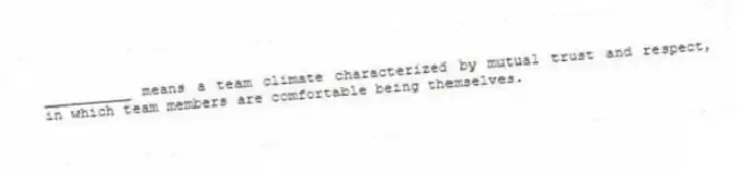 __________ means a team climate characterized by mutual trust and respect, in which team members are comfortable being themselves.