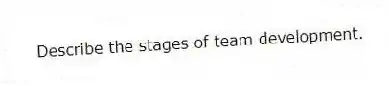 Describe the stages of team development.