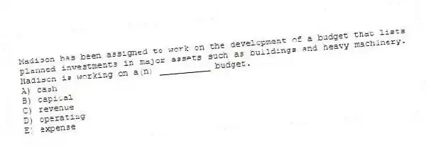 Madison has been assigned to work on the development of a budget that lists planned investments in major assets such as buildings and heavy machinery. Madison is working on a(n) __________ budget.
A) cash
B) capital
C) revenue
D) operating
E) expense