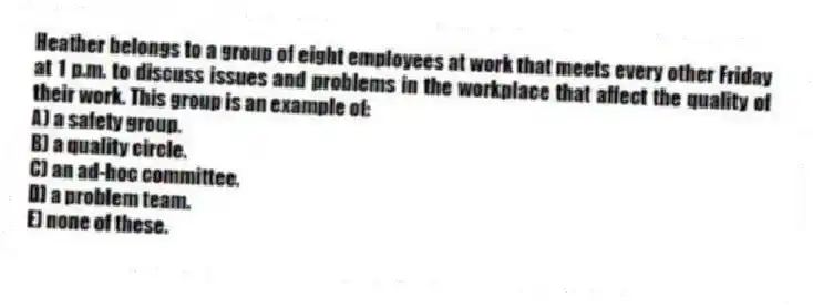 Heather belongs to a group of eight employees at work that meets every other Friday at 1 p.m. to discuss issues and problems in the workplace that affect the quality of their work. This group is an example of:
A) a safety group.
B) a quality circle.
C) an ad-hoc committee.
D) a problem team.
E) none of these.