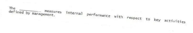 The __________ measures internal performance with respect to key activities defined by management.