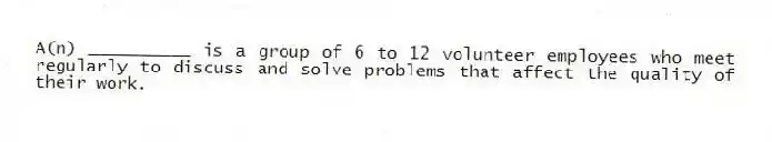 A(n) __________ is a group of 6 to 12 volunteer employees who meet regularly to discuss and solve problems that affect the quality of their work.