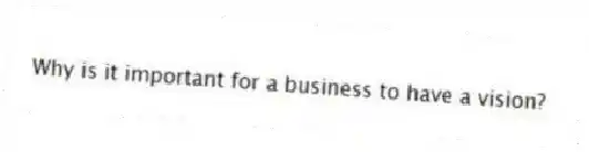 Why is it important for a business to have a vision?