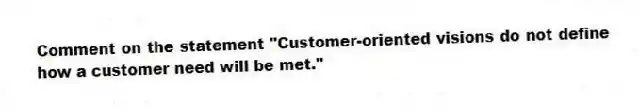 Comment on the statement "Customer-oriented visions do not define how a customer need will be met."