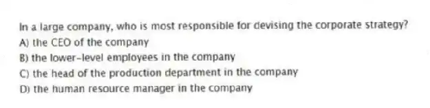 In a large company, who is most responsible for devising the corporate strategy?
A) the CEO of the company
B) the lower-level employees in the company
C) the head of the production department in the company
D) the human resource manager in the company