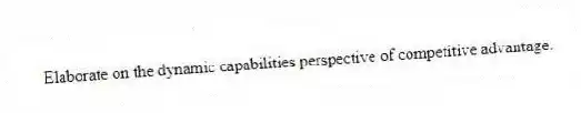 Elaborate on the dynamic capabilities perspective of competitive advantage.