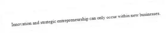 Innovation and strategic entrepreneurship can only occur within new businesses.