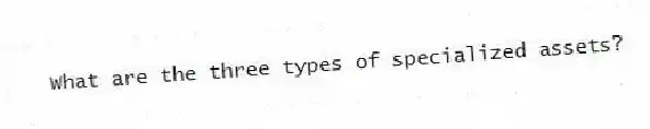 What are the three types of specialized assets?