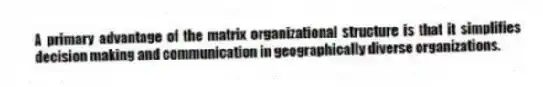 A primary advantage of the matrix organizational structure is that it simplifies decision making and communication in geographically diverse organizations.