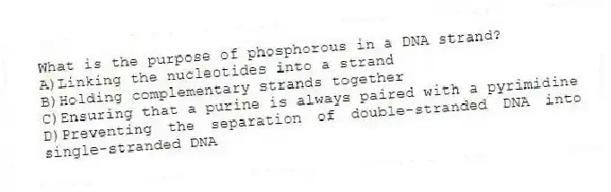 What is the purpose of phosphorous in a DNA strand?
A)Linking the nucleotides into a strand
B)Holding complementary strands together
C)Ensuring that a purine is always paired with a pyrimidine
D)Preventing the separation of double-stranded DNA into single-stranded DNA