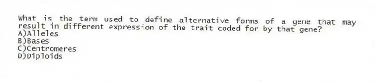 What is the term used to define alternative forms of a gene that may result in different expression of the trait coded for by that gene?
A)Alleles
B)Bases
C)Centromeres
D)Diploids