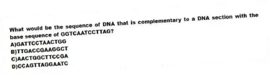 What would be the sequence of DNA that is complementary to a DNA section with the base sequence of GGTCAATCCTTAG?
A)GATTCCTAACTGG
B)TTGACCGAAGGCT
C)AACTGGCTTCCGA
D)CCAGTTAGGAATC
