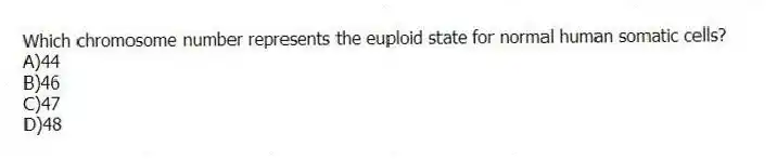 Which chromosome number represents the euploid state for normal human somatic cells?
A)44
B)46
C)47
D)48