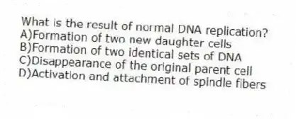 What is the result of normal DNA replication?
A)Formation of two new daughter cells
B)Formation of two identical sets of DNA
C)Disappearance of the original parent cell
D)Activation and attachment of spindle fibers