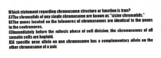 Which statement regarding chromosome structure or function is true?
A)The chromatids of any single chromosome are known as "sister chromatids."
B)The genes located on the telomeres of chromosomes are identical to the genes in the centromeres.
C)Immediately before the mitosis phase of cell division, the chromosomes of all somatic cells are haploid.
D)A specific gene allele on one chromosome has a complementary allele on the other chromosome of a pair.