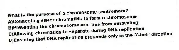 What is the purpose of a chromosome centromere?
A)Connecting sister chromatids to form a chromosome
B)Preventing the chromosome arm tips from unraveling
C)Allowing chromatids to separate during DNA replication
D)Ensuring that DNA replication proceeds only in the 3'-to-5' direction