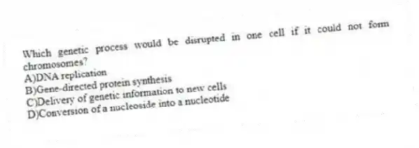 Which genetic process would be disrupted in one cell if it could not form chromosomes?
A)DNA replication
B)Gene-directed protein synthesis
C)Delivery of genetic information to new cells
D)Conversion of a nucleoside into a nucleotide