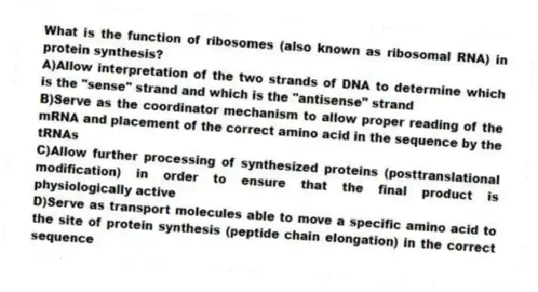 What is the function of ribosomes (also known as ribosomal RNA) in protein synthesis?
A)Allow interpretation of the two strands of DNA to determine which is the "sense" strand and which is the "antisense" strand
B)Serve as the coordinator mechanism to allow proper reading of the mRNA and placement of the correct amino acid in the sequence by the tRNAs
C)Allow further processing of synthesized proteins (posttranslational modification) in order to ensure that the final product is physiologically active
D)Serve as transport molecules able to move a specific amino acid to the site of protein synthesis (peptide chain elongation) in the correct sequence