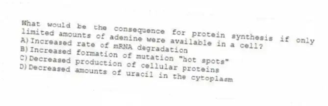 What would be the consequence for protein synthesis if only limited amounts of adenine were available in a cell?
A)Increased rate of mRNA degradation
B)Increased formation of mutation "hot spots"
C)Decreased production of cellular proteins
D)Decreased amounts of uracil in the cytoplasm