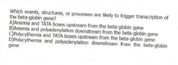 Which events, structures, or processes are likely to trigger transcription of the beta-globin gene?
A)Anemia and TATA boxes upstream from the beta-globin gene
B)Anemia and polyadenylation downstream from the beta-globin gene
C)Polycythemia and TATA boxes upstream from the beta-globin gene
D)Polycythemia and polyadenylation downstream from the beta-globin gene